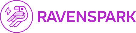 RavenSpark Digital Marketing